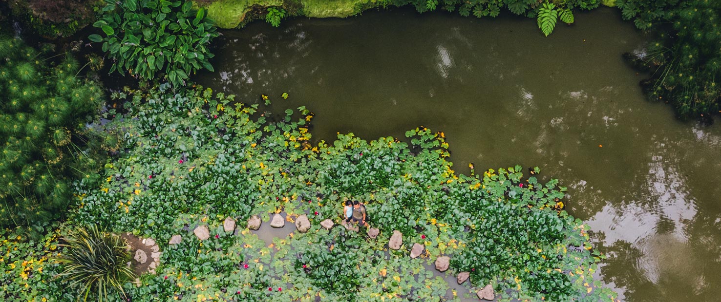 Furnas Azores Sao Miguel