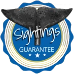 Azores Sightings Guarantee